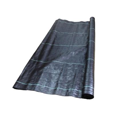 China Water management / turf control / seedling protection / surface layer to protect 100% pp cover fabric weed control feathery stipe barrier garden away for sale