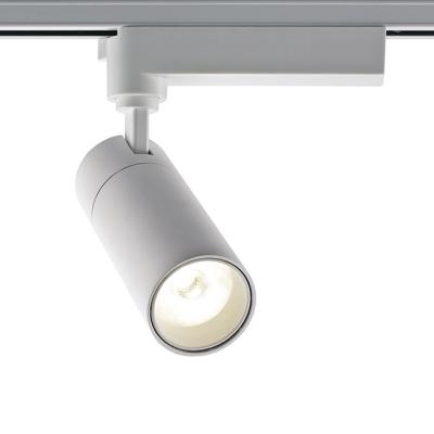 China Modern Minimalist 2020 New Design Energy Saving 20W Two Line 2 Wire Ceiling Spot COB Led Track Light For Living Room And Art Exhibition for sale