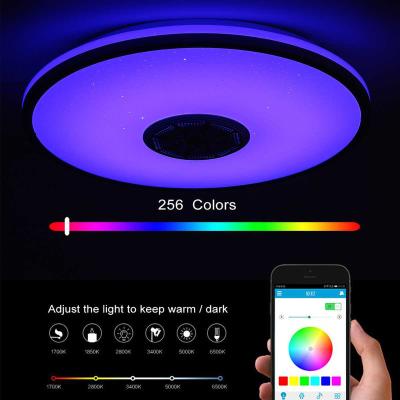 China Modern Smart Music Light RGB Dimmable WiFi APP Control LED Ceiling Light Modern Home Bedroom Living Room Ceiling Lamp for sale