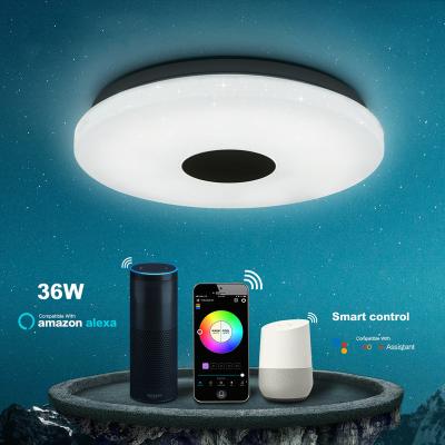 China Modern Ceiling Light Smart Wifi Voice Control Suitable For Living Room Bedroom Kitchen Dimming Color LED Ceiling Lamp for sale