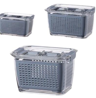 China New Product Sustainable Drain Box Fruit Wash Fresh-Keeping Plastic Drain Basket for sale