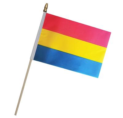 China Health Care Institute OEM Factory Miniature Hand Held Flag Small Mini Same Sex Pride Wooden Stick Hand Flags Custom for sale