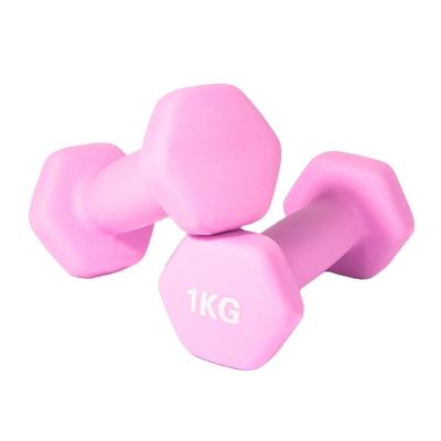 China Other Product Introduction New High Quality Pink 1kg Dipped Dumbbells for sale