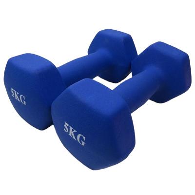 China Other High Quality Wholesale Muscle Exercise Muscle Dumbbell for sale