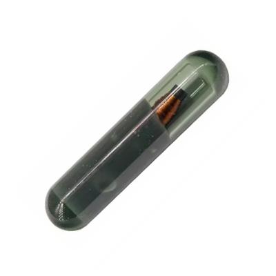 China For Audi (A2) Megamos ID48 Chip BIT 96 (Glass Tube) (TP25) for sale