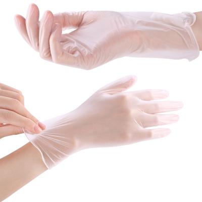 China Oil Proof Food grade powder-free waterproof home baking oil-proof waterproof not easy to drop disposable pvc gloves for sale