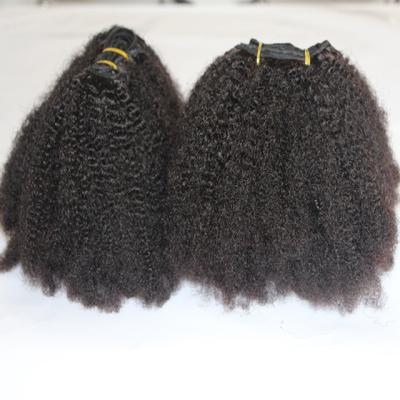 China Wholesale Unprocessed Yvonne Hair Afro Kinky Human Kinky Curly Hair May Dye and Bleach for sale