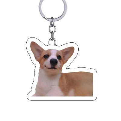 China Hot Selling Plastic Souvenir Pet Key Chain Wholesale Custom Acrylic Key Chain for sale