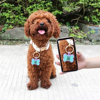 China Wholesale low MOQ Cheap different shape many colors for options silicone blank dog tag name ID tag for sale