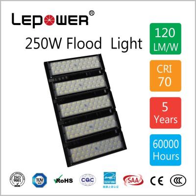 China 250W Flood LED Light 250W 60 / 90 Beam Angle 50000 Hours Life Time for sale