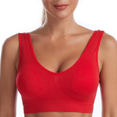 China QUICK DRY Hot Selling Amazon Ebay Sports Bra Red Seamless Chest Pad Removeable Chest Pad Plus Size Breathable Yogo Bra for sale