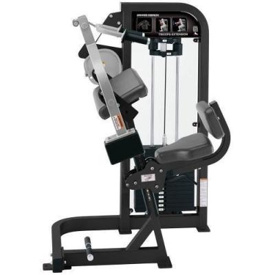 China 2022 Hot Sale Universal Exercise Gym Device Commercial Triceps Dip Press Machine for sale