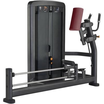 China Safe Equipments Gym Glute Leg Press For Gym Equipment Fitness for sale