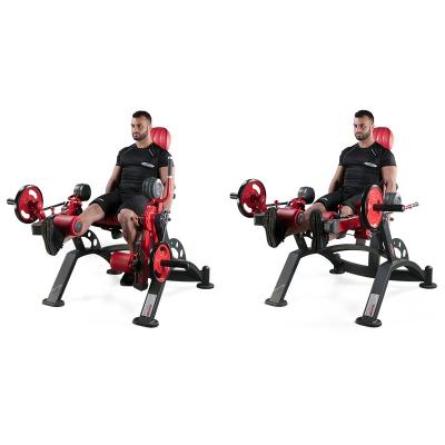 China Universal Professional Commercial Strength Training Leg Machine Gym Exercise Leg Panatta Alternative Leg Extension for sale