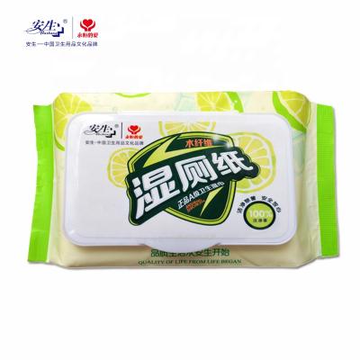 China Eco - Friendly Household Adult Cleaning Sanitary Toilet Wipes Flushable Toilet Paper Wipes for sale