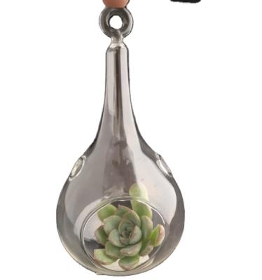 China China Factory Wholesale Hanging Clear Glass Water Drop Shape Air Indoor Succulent Container for sale