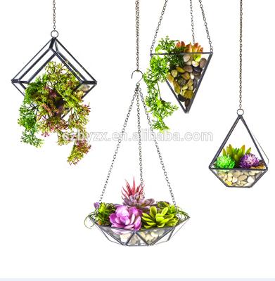 China Europe Hot Selling Indoor Factory Hanging Clear Glass Geometric Mini Greenhouse for sale