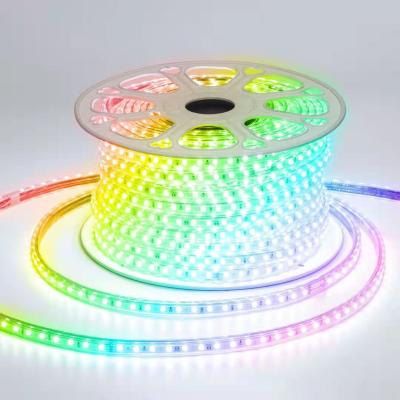 China SCENERY 110V Outdoor IP68 Waterproof Led RGB Strip for sale