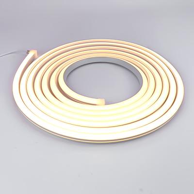 China All Scenes Modern Waterproof Flexible Ip66 12v Silicone Led Accessible Neon Strip Light RGB for sale