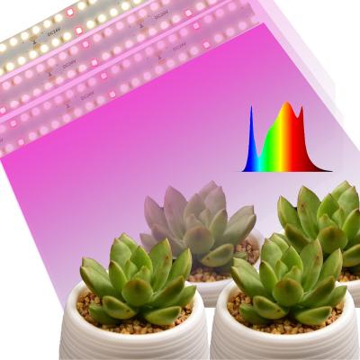 China High Performance Provides Accurate Plant Growth Spectrum Warm Light Led Special Plant Growth Light CMSF240M24V for sale