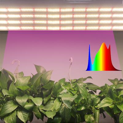 China Newest Garden Full Spectrum Led Plant Growing Light Strip Light Led Grow Light 30 W Adjustable for sale