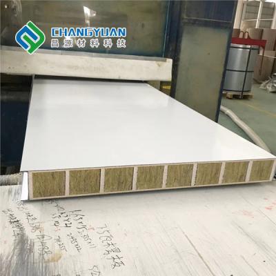 China Modern Cleanroom Wall Panel Fire Proof Pu Foam Sandwich Panel for sale