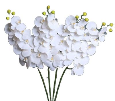 China Insurance Artificial Orchid Flowers Orchid Flower Silk Commercial Artificial Panels for sale