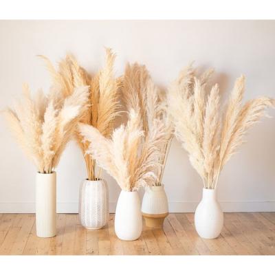 China Pampas Grass Customized Home Decoration Fake Pampas Grass Artificial Pampas Grass Large for sale