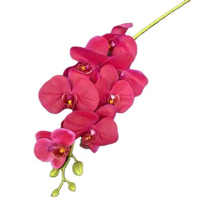 China Artificial flower. Popular Real Touch 7 Heads White Natural Artificial Latex Orchid Real Latex Touch Orchid For Home Decoration for sale