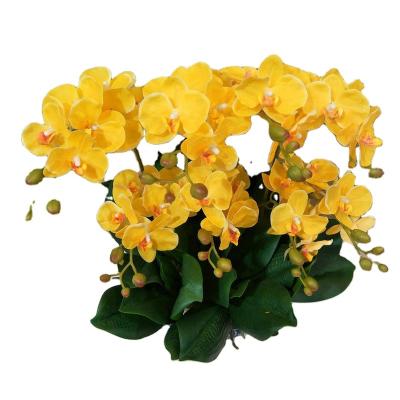 China Living room daily table decoration orchid butterfly artificial flowers phalaenopsis flower decorative ornaments for sale