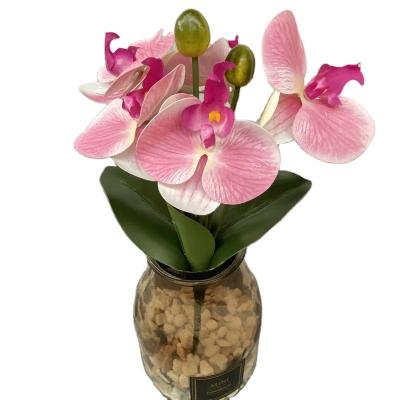 China Table Decoration New Product High Quality Decorative Flowers Phalaenopsis Orchid For Wedding Home Decor for sale