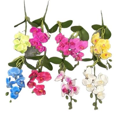 China Wholesale Fashional artificial flowers orchid phalaenopsis silk latex cattleya flower for sale for sale