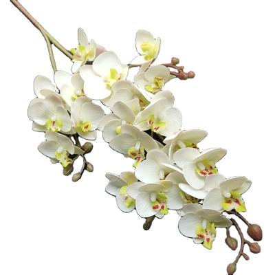 China High Quality Artificial Latex Touch Real Colorful Phalaenopsis Artificial Orchid Flower Decorative for sale