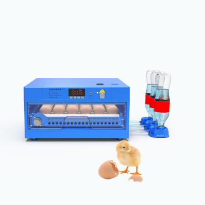 China Farms Series 30 Economical Egg Water Filling Roller Tray Pull Out 220V Automatic Incubator for sale