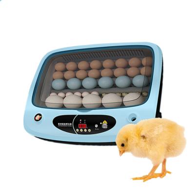 China Hot Farms Sale Price 110-240V/110V 50Hz 15/24/36 Egg Incubator For Chicken Eggs for sale