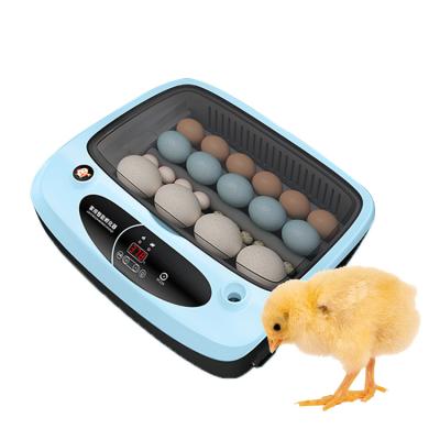 China Durable Farms Using Automatic Led Display Digital Egg Incubator Machine for sale