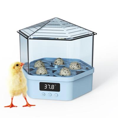 China Home Use Customized Mini 4PCS 5PCS Portable Automatic Service Quail Egg Incubators for sale