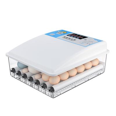 China Full Automatic Farms Good Quality 36 Eggs Mini Incubator For Chicken , Quail , Duck Eggs for sale