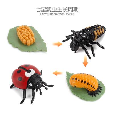 China Oenux Wholesale Miniature Plastic Model Toy Simulation Animals Growth Life of PVC Cycle Animal Action Numbers 3D Model for sale