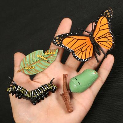 China 3D The 2021Butterfly Model,Ladybu Chicken Life Cycle Figurine Models Simulation Plastic Animal Growth Cycle Children Play for sale