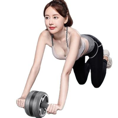 China Home Use TEZEWA Factory Price Gym Exercise Equipment Ab Wheel Roller Multi Function Wheel Abdominal Roller for sale