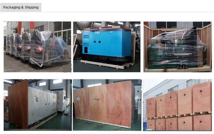 Fornitore cinese verificato - Weichai Power Generation Taizhou Co.,Ltd