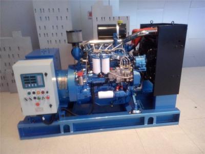 China High Power Emergency Marine Diesel Generator 30KW 50HZ For Fishing Boats for sale