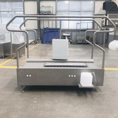 China Every Single Industry Portable Automatic Shoe Disinfection Machine Single Cleaning Disinfection for sale