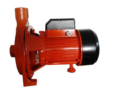 China Hydraulic 1 Hp Electric Centrifugal Water Pump , Horizontal High Flow Water Pump for sale