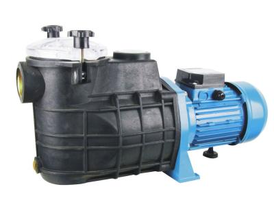 China High Performance Electric Plastic Swimming Pool Water Pump With Brushless DC Motor for sale