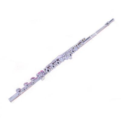 China Silver Plated 2021 Professional Open Holes Silver Plated Groove Good Quality Recorder Groove For Sale for sale