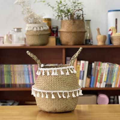 China Customization Modern Natural Color Plant Plankton Nordic Belly Basket For Decor Home Storage Tree Plant Pot Indoor And Outdoor Laundry for sale