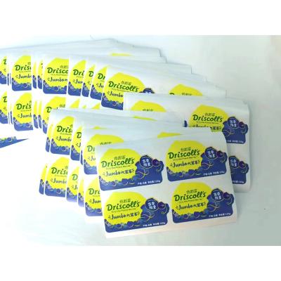 China Professional Manufacturer Good Both Side Printed Adhesive Printing Logo Label Sticker Custom Paper for sale