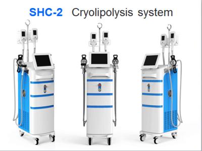 China 2016 cryolipolysis machine,6 handles cryolipolysis&cavitation rf,criolipolisis/cryotherapy for sale